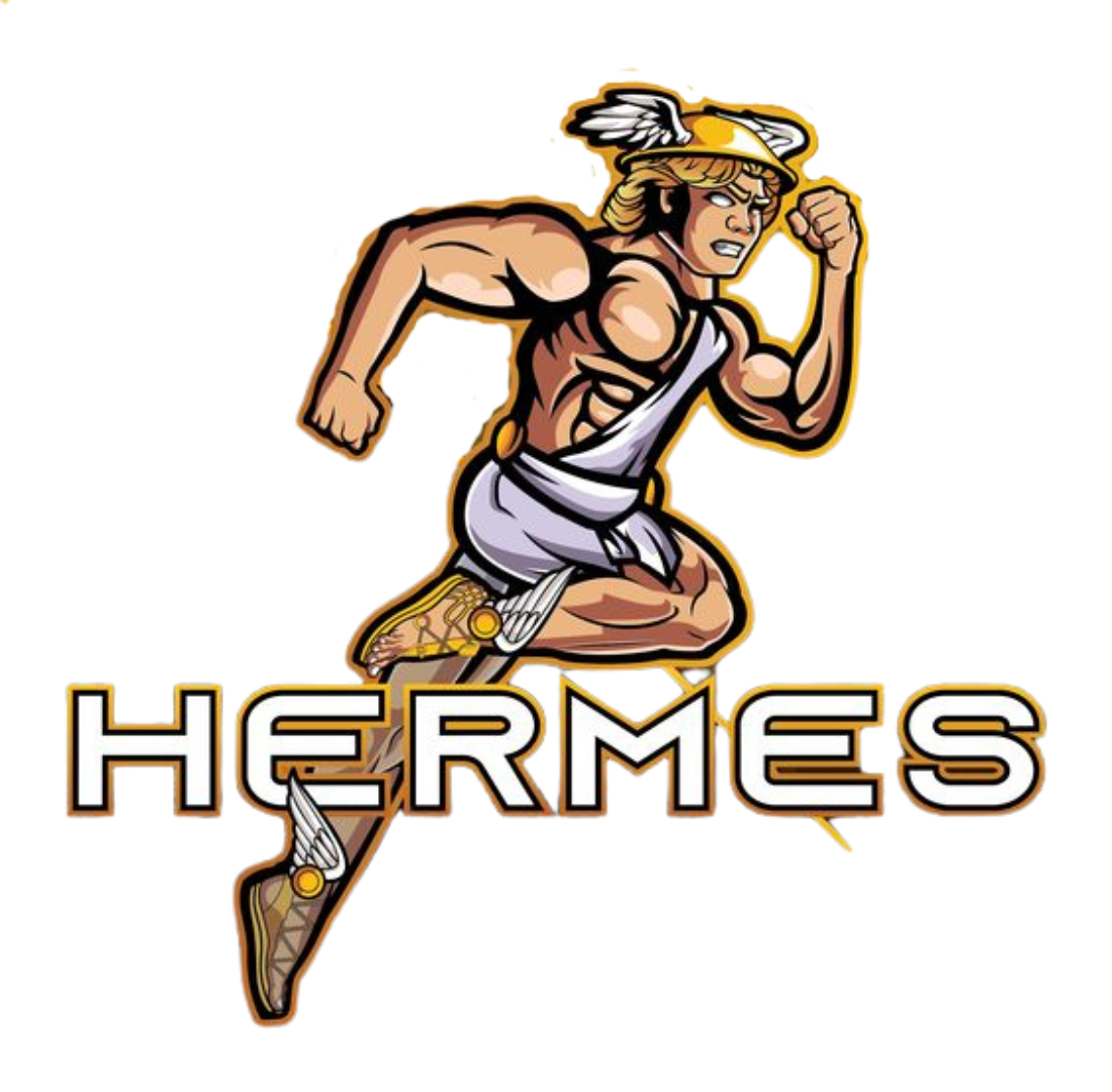 Perfil CLON HERMES ADS Activo