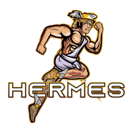 Perfil CLON HERMES ADS Activo